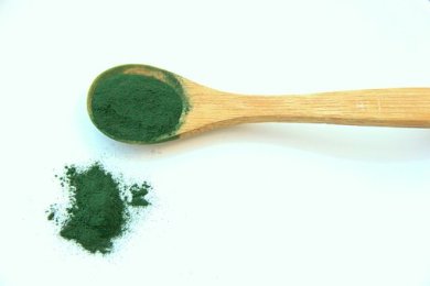 spirulina-1829080__340