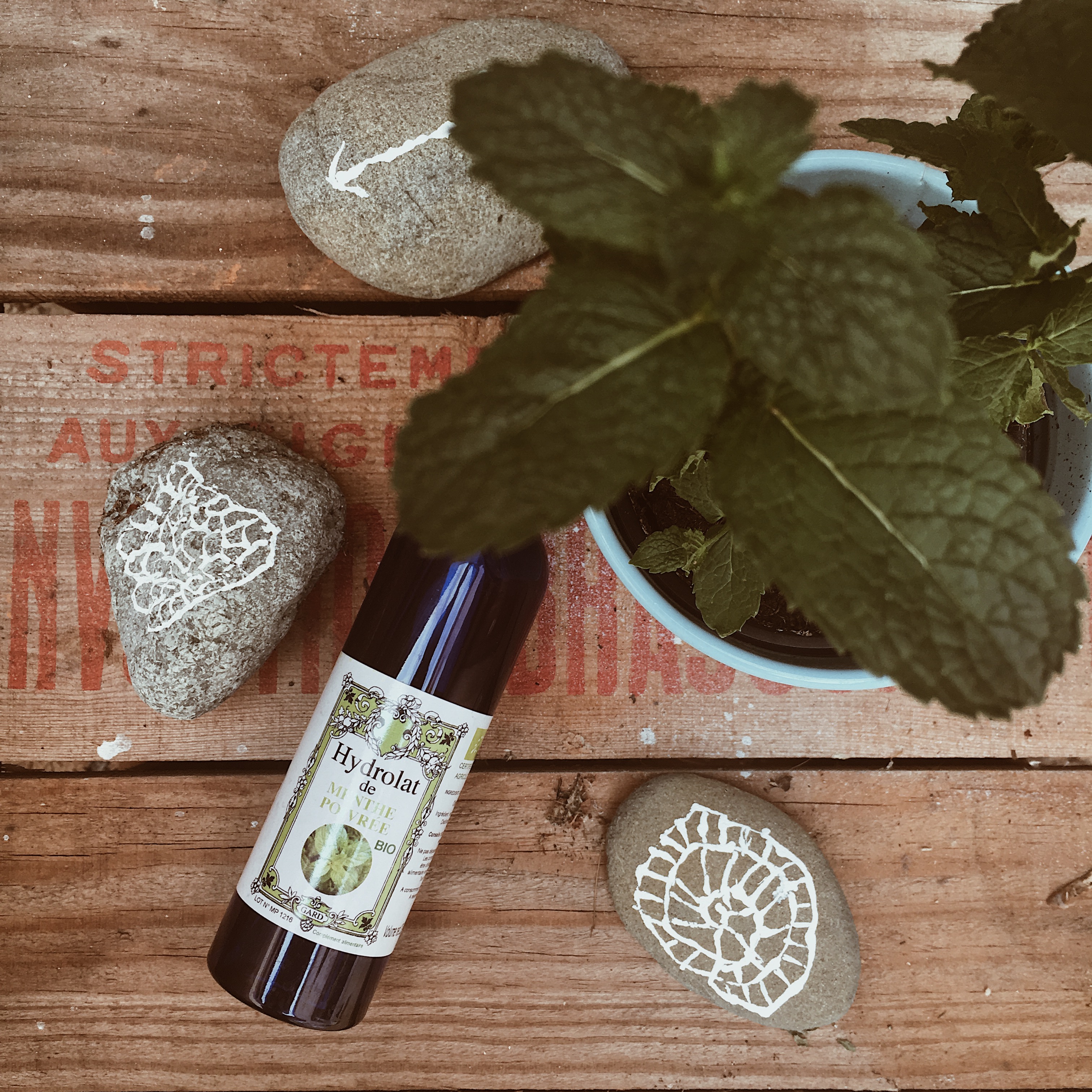 Processed with VSCO with a4 preset