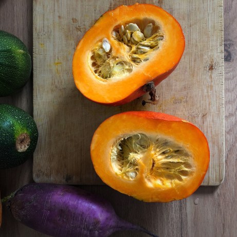 AfterlightImage (4).jpg