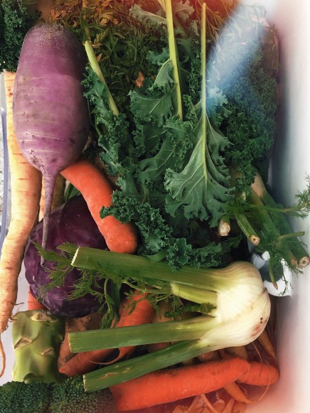 AfterlightImage (6).jpg