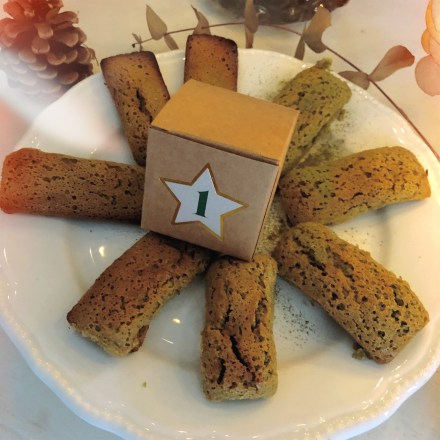 AfterlightImage (7).jpg