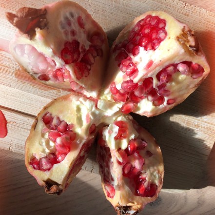 AfterlightImage (11).jpg