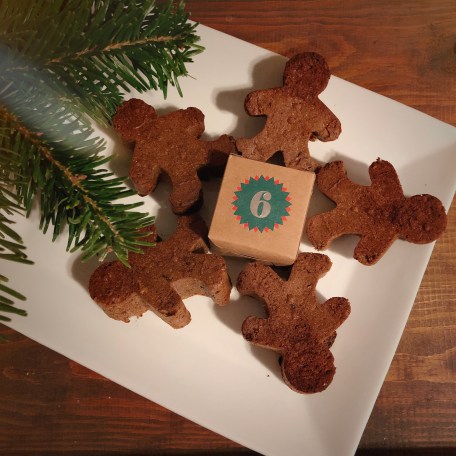 AfterlightImage (13).jpg