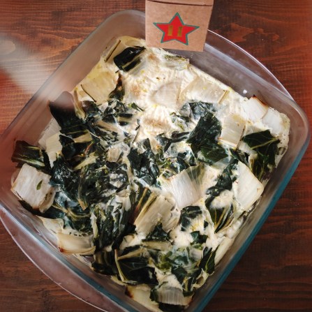 AfterlightImage (18).jpg