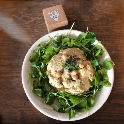 AfterlightImage (19).jpg