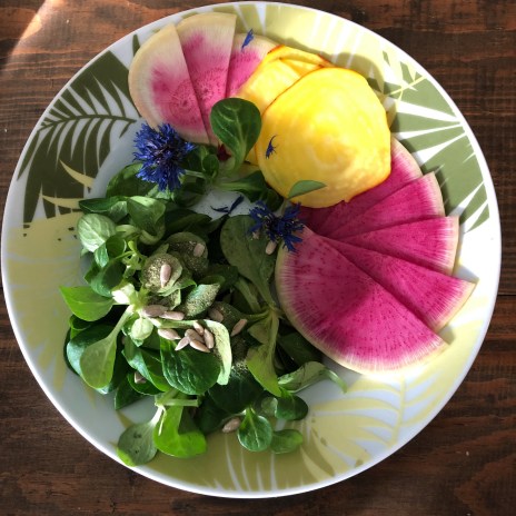 AfterlightImage (5).jpg