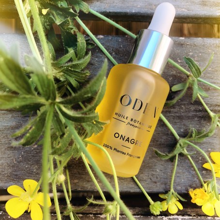 AfterlightImage (7).jpg